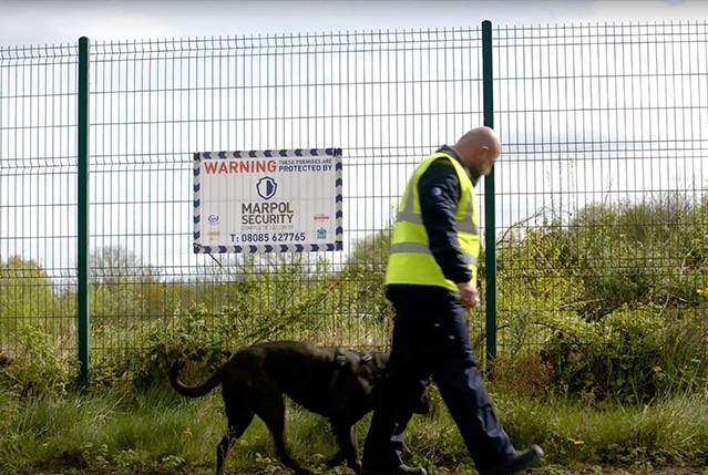 Marpol-K9-Guard-Dogs-2